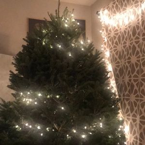 Meet your Posher, Nina